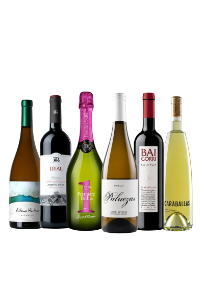 Pack vinos para el mundial de futbol