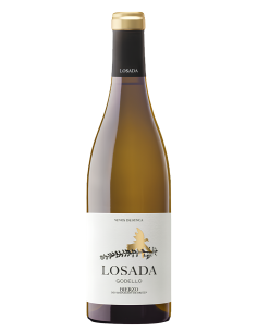 Losada Godello 2024 - Blanco Fresco y Mineral del Bierzo - Devinoavino