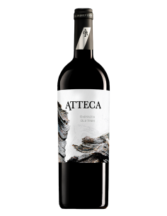 Atteca Old Vines D.O. Calatayud | Devinoavino