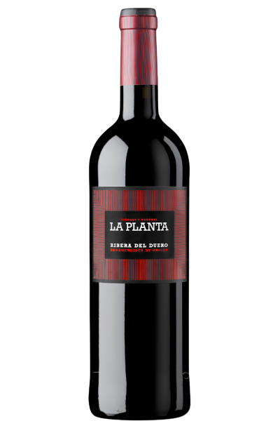 La Planta Ribera del Duero | Devinoavino