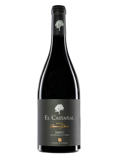 El Castañal D.O. Bierzo | Devinoavino