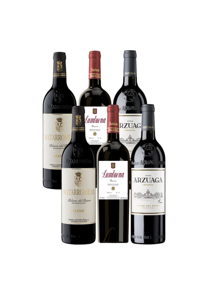 Pack Ribera del Duero | Devinoavino