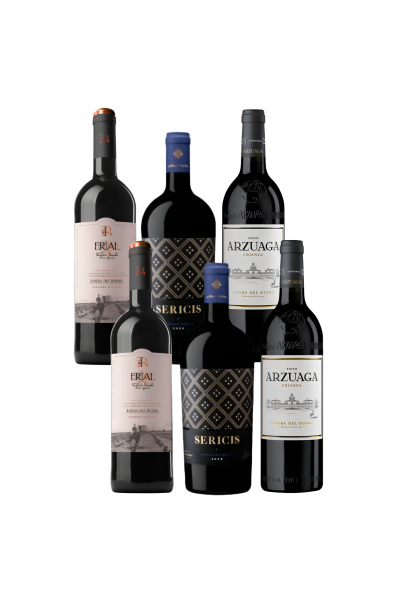 Pack Tintos para Acertar – 6 Botellas | Devinoavino