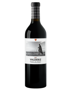 Valderiz Ribera del Duero | Devinoavino