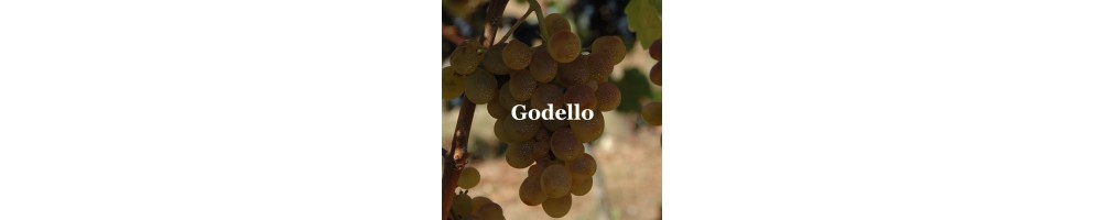 Comprar los vinos de la variedad Godello en devinoavino - Casar de Burbia Pago de los Abuelos y más