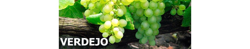 Compra Vino Verdejo en Devinoavino | Melior Matarromera, KNaia, Cuatro Rayas, Prado Rey.