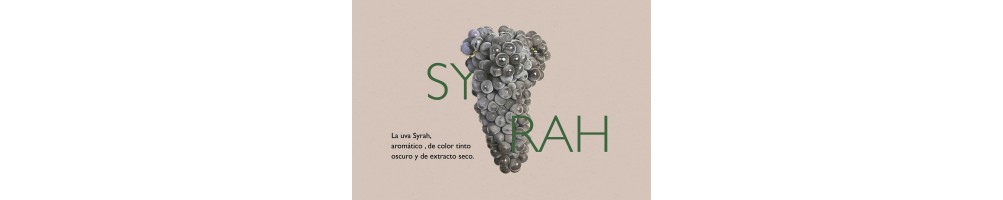 Compra Vino Syrah en Devinoavino | Dehesa del Carrizal Syrah, Venta la Ossa, Lince de Bodegas Lucendo