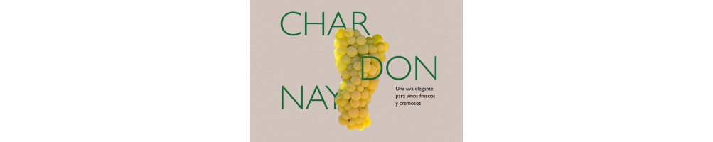 Compra Vino Chardonnay en Devinoavino | Blas Muñoz Chardonnay, Lienzo Chardonnay