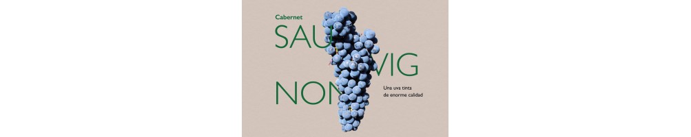 Compra Vino Cabernet Sauvignon Devinoavino | Dehesa del Carrizal, Volver, Gran Luna