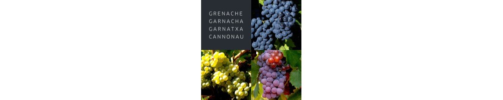 Comprar los vinos de la variedad Garnacha en devinoavino | Breca, Ateca, Baigorri, Paco Mulero